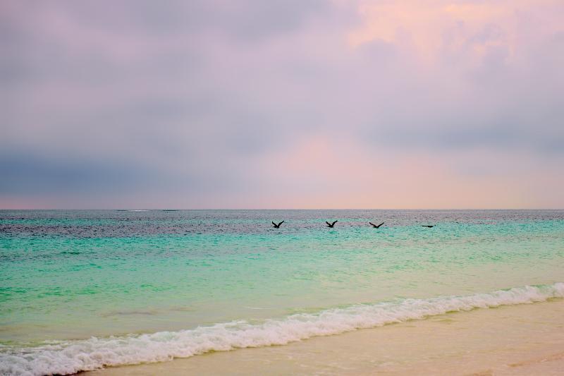 Mukan Resort South of Tulum Punta Allen Bagian luar foto